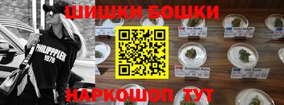 гашик Лесосибирск