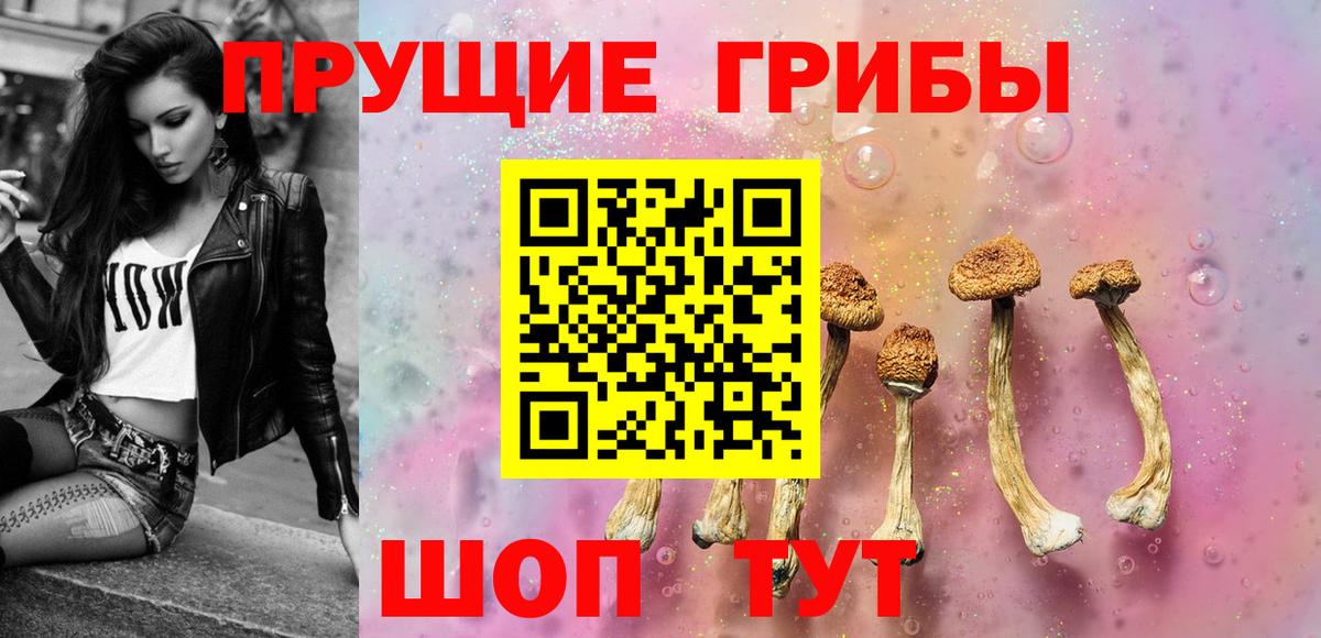 Галлюциногенные грибы Cubensis Тихорецк